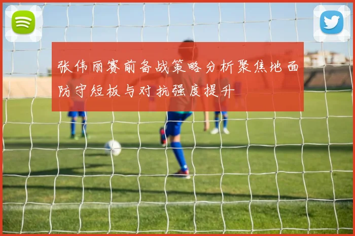 张伟丽赛前备战策略分析聚焦地面防守短板与对抗强度提升